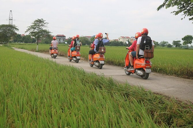 Beautiful Female Riders Vespa Red River Countryside Tour 5 Hours - Riding through rice paddies toward Co Loa