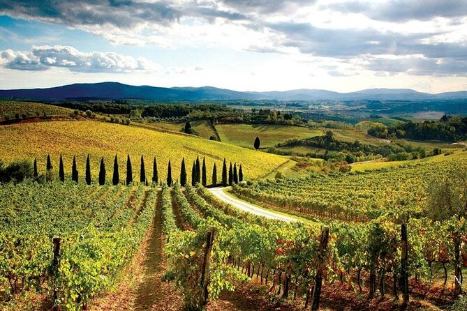 Chianti Vespa Tour - The ride back completes the half-day outing
