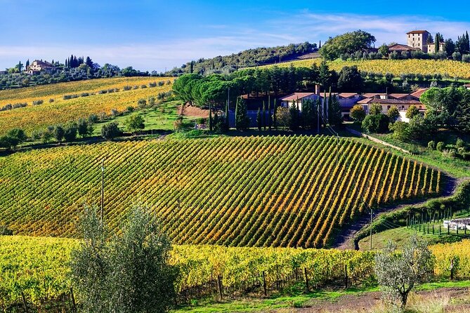 Chianti Vespa Tour - What the $129.86 price really includes