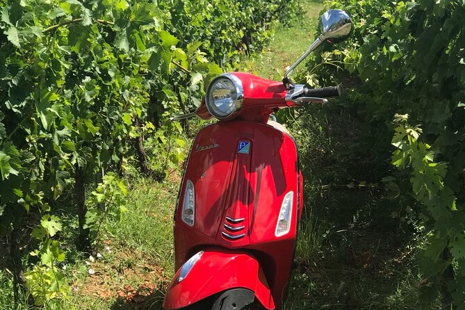 Chianti Vespa Tour - Weather, safety, and the fine print