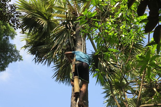 Countryside Morning Life Vespa Tour - Farms, crafts, palm juice, and traditional skills
