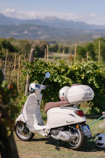 Explore the Rolling Hills of Lucca on a Vespa 125 Primavera - Following the Compitese olive oil road
