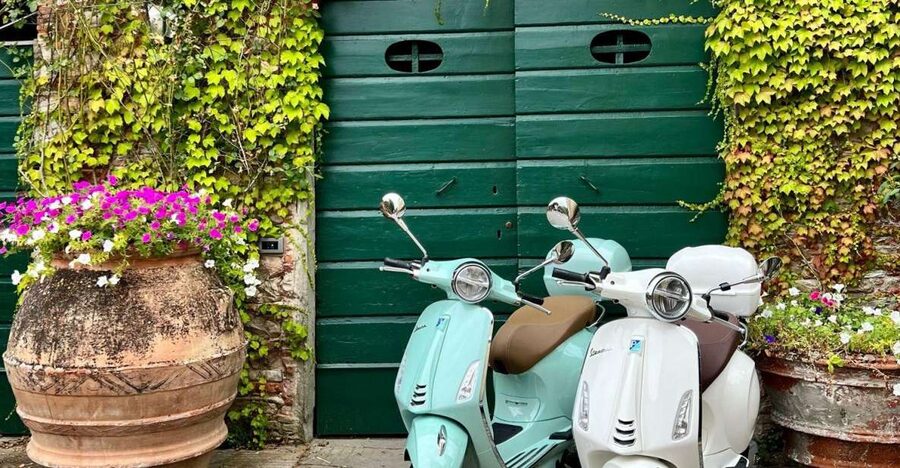 Explore the Rolling Hills of Lucca on a Vespa 125 Primavera - The winery picnic under the olive trees