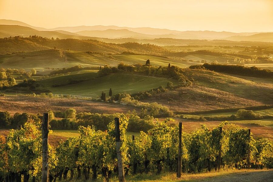Florence/Badesse: Tuscany Group Vespa Tour with Wine Tasting - Price, value, and what is not included