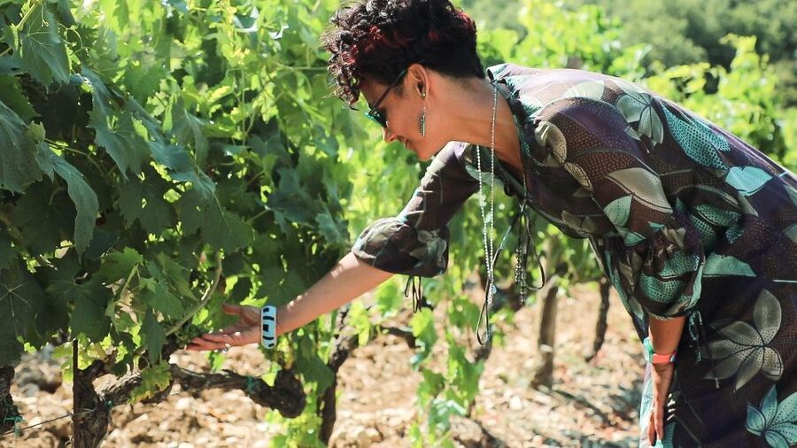 From Florence: Chianti Self-Guided Vespa Tour with Lunch - Should you book it?