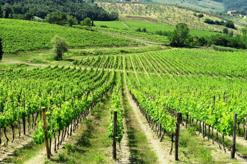 From Florence: Chianti Self-Guided Vespa Tour with Lunch - Following the app through the Chianti Hills