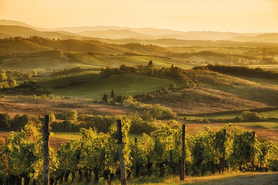 From San Gimignano: Vespa Tour in Chianti - Who will enjoy this tour most?