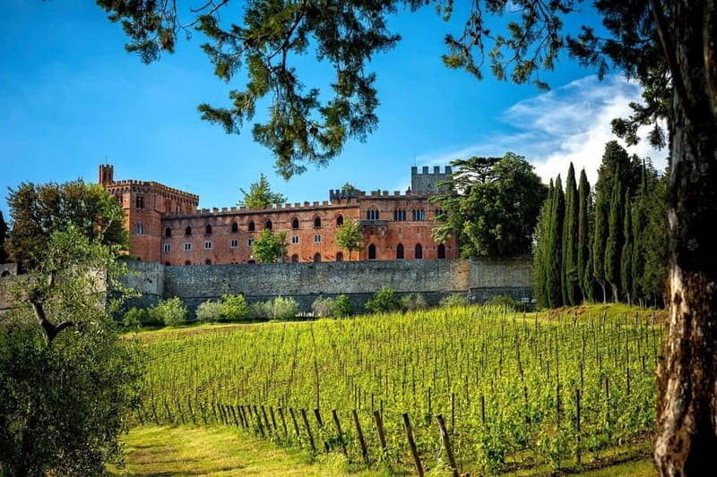 From Siena/Badesse: Vespa & Chianti Tour in the Tuscan Hills - The winery visit and the food question