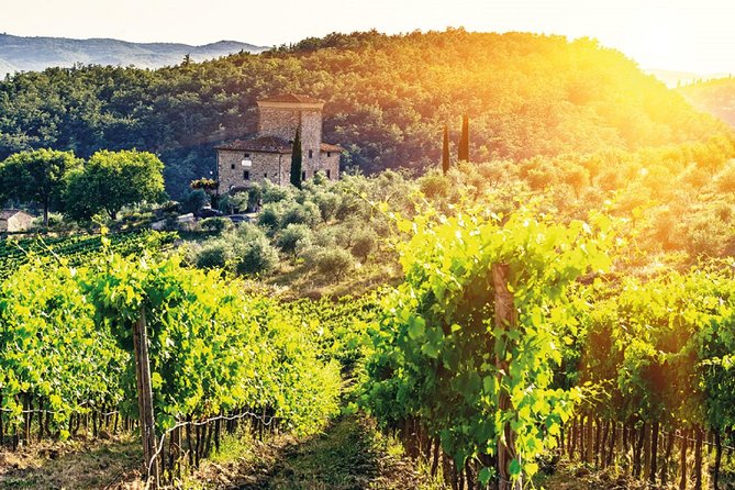 Full-Day Chianti Tour by Vespa Scooter from San Gimignano - Casale dello Sparviero for wine and lunch