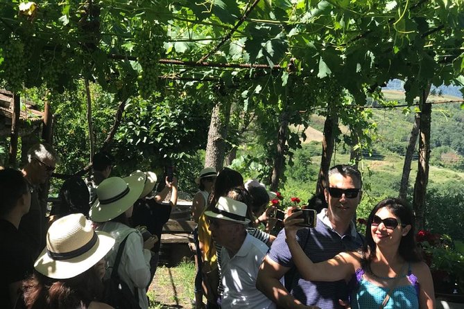Full-Day Chianti Tour by Vespa Scooter from San Gimignano - What the $168 price includes