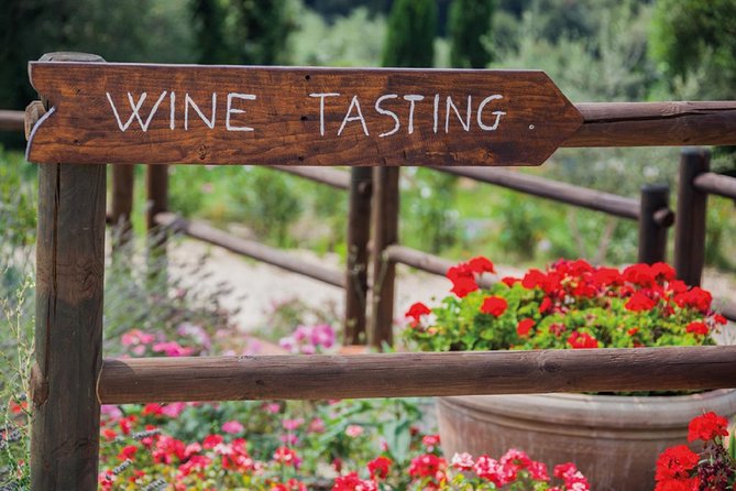 Full-Day Chianti Tour by Vespa Scooter from San Gimignano - Rolling past vineyards, olive groves, and cypress lanes