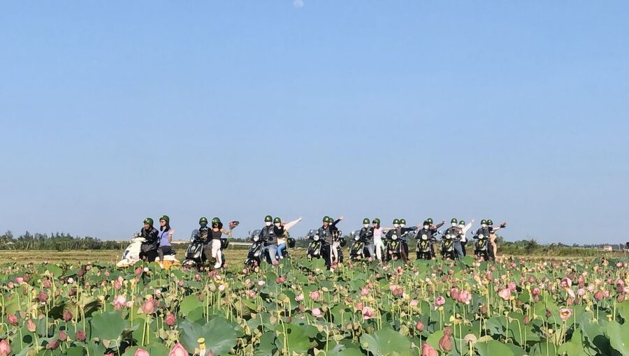 Half Day Exploring Hoi An Countryside in a Vespa - Who will enjoy this half-day outing?