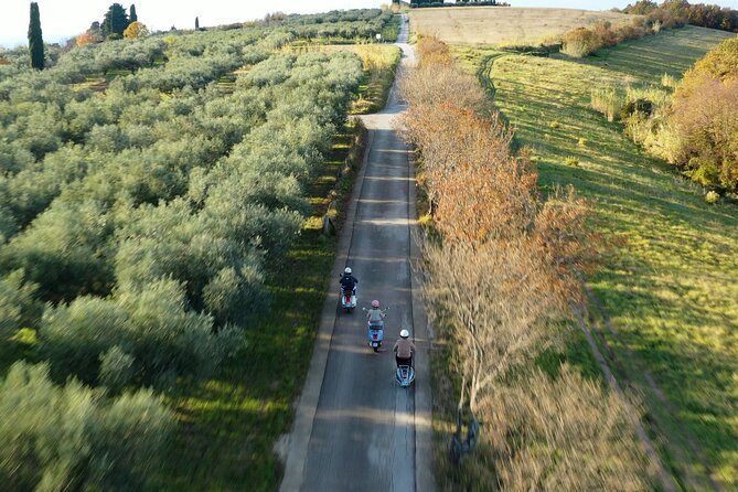 Half Day Vespa Countryside Tour and Tastings in Istria - Olive Groves, Pine Trees, and Padna