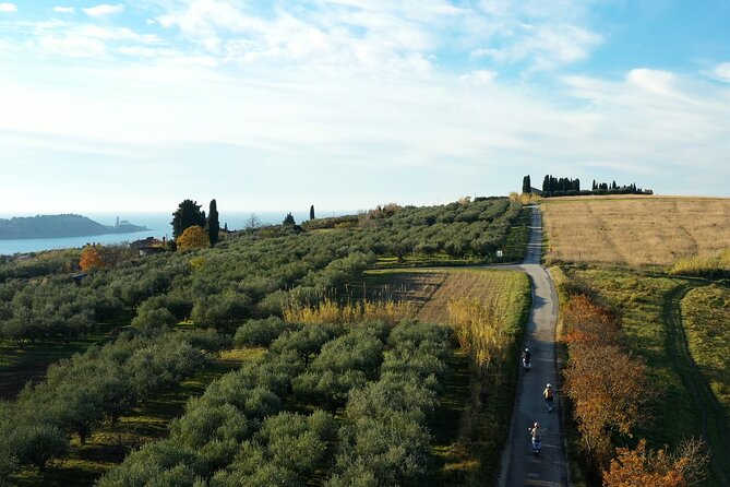 Half Day Vespa Countryside Tour and Tastings in Istria - Vespa Details, Deposits, and Driving Comfort