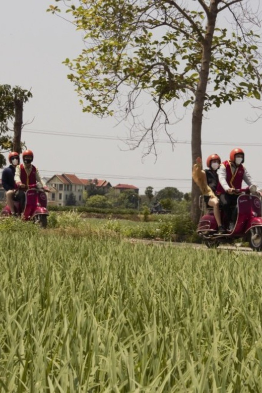 Hanoi Vintage Vespa Tours: A Half-Day Countryside Adventure - Riding beside vegetable farms and village roads