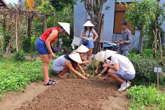 Hoi An Cooking Class & Vespa Cooking Adventure Tour - Why this Hoi An tour works well