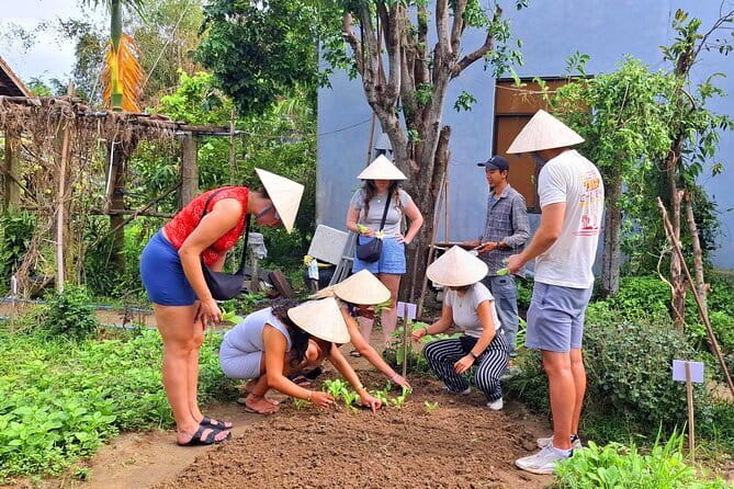 Hoi An Cooking Class & Vespa Cooking Adventure Tour - Cooking three Hoi An dishes at a family-run venue