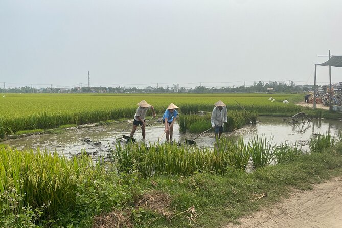 Hoi An Countryside Vespa Tour: Food, Culture & Daily Life - What the $93 price includes