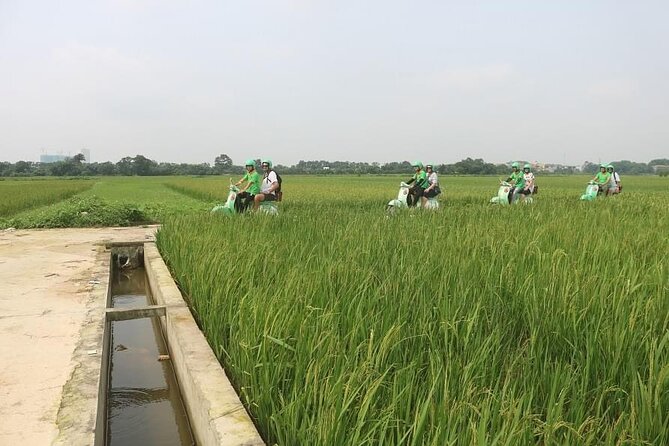 Ninh Binh Vespa Start from Hanoi + Boat + Villages +Rice Paddies - Riding a Vespa through Ninh Hai Village