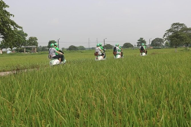 Ninh Binh Vespa Start from Hanoi + Boat + Villages +Rice Paddies - A local set-menu lunch near Tam Coc