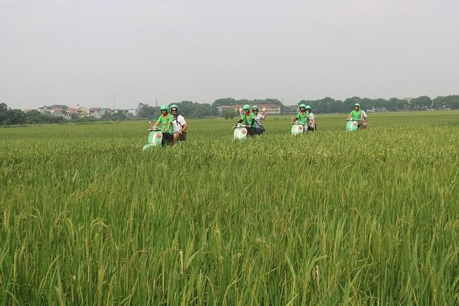 Ninh Binh Vespa Start from Hanoi + Boat + Villages +Rice Paddies - Drifting through Tam Coc’s three caves