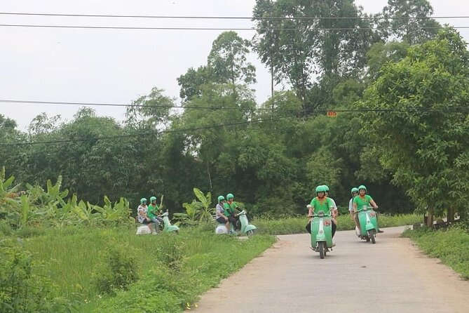 Ninh Binh Vespa Start from Hanoi + Boat + Villages +Rice Paddies - The early limousine ride from Hanoi
