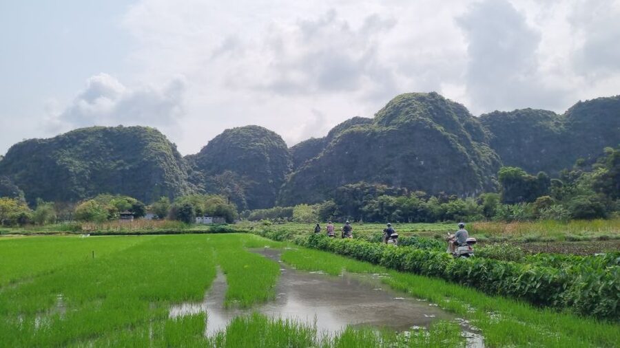 Ninh Binh Vespa Tours from Hanoi: Vespa + Boat + Daily Life - Climbing Mua Mountain to Mua Cave