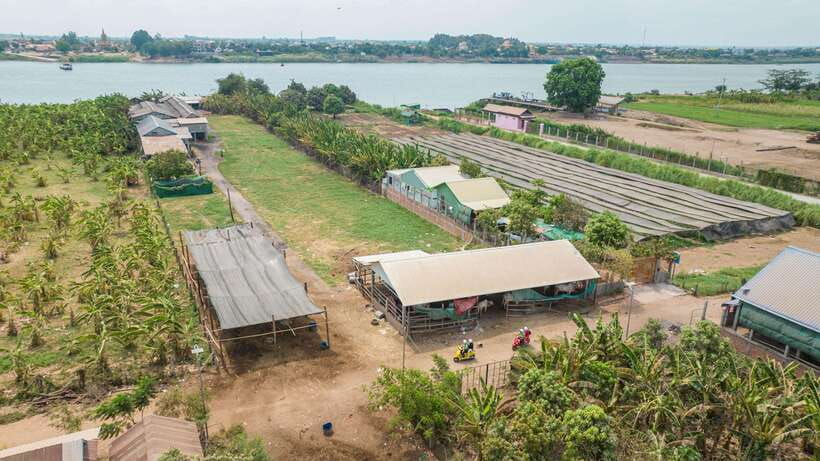 Phnom Penh: Silk Island Tour by Vespa with Tuk Tuk Available - Key Things to Know Before You Go