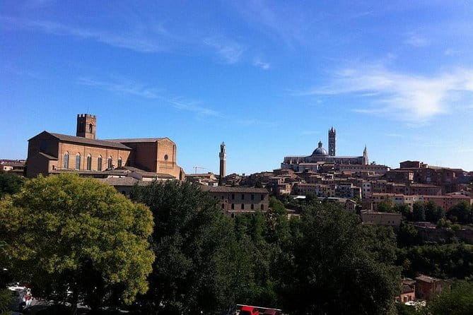 Private Tuscany Vespa Tour - A Tuscan lunch with wine and olive oil