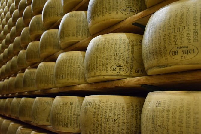 Private Tuscany Vespa Tour - Inside the winery cellar