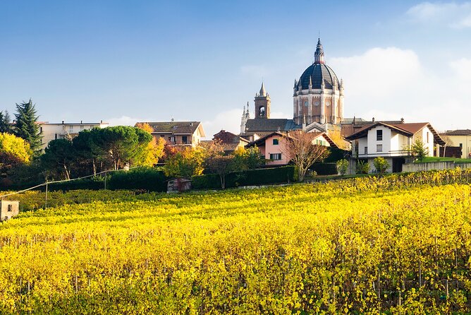 Private Vespa Tour "Among the hills of Barolo and Barbaresco" - Key points to know before booking