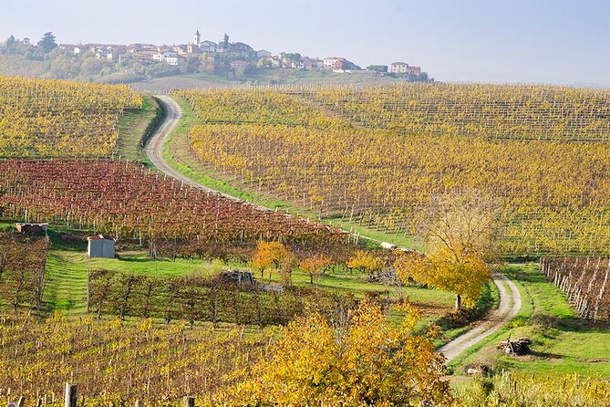 Private Vespa Tour "Among the hills of Barolo and Barbaresco" - La Morra: the big view
