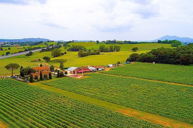 Romantic Vespa Tour and Wine Tasting - The Val d’Orcia ride and its short town stops