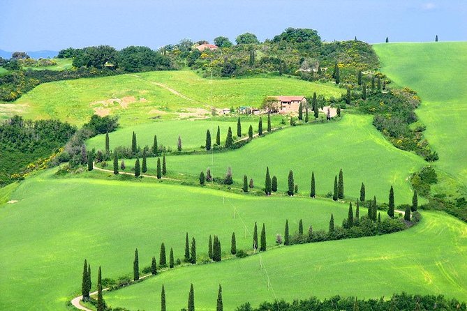 Romantic Vespa Tour and Wine Tasting - The private format and group size