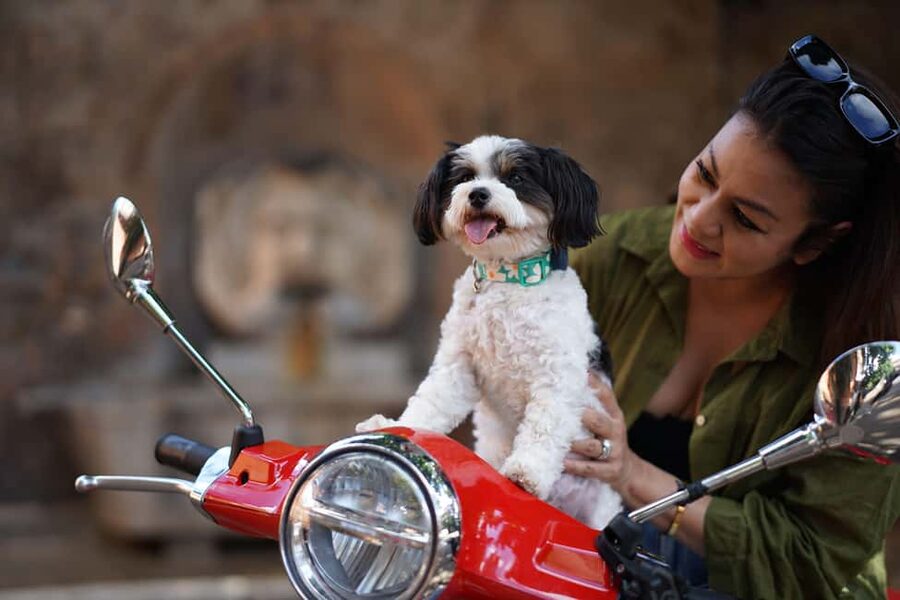 Rome: Guided Vespa Experience with Professional Photoshoot - Acqua Paola and the climb to Gianicolo