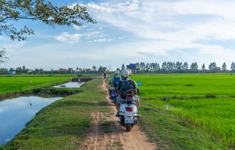 Siem Reap Countryside Sunset Vespa Tour or Tuk Tuk - Rice wine, mushroom farms, and small local businesses