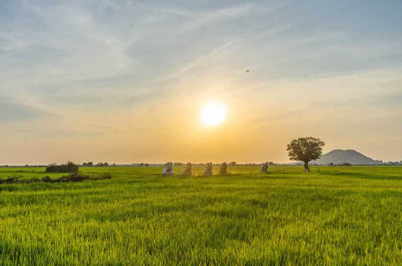 Siem Reap Countryside Sunset Vespa Tour or Tuk Tuk - What the $24 price includes