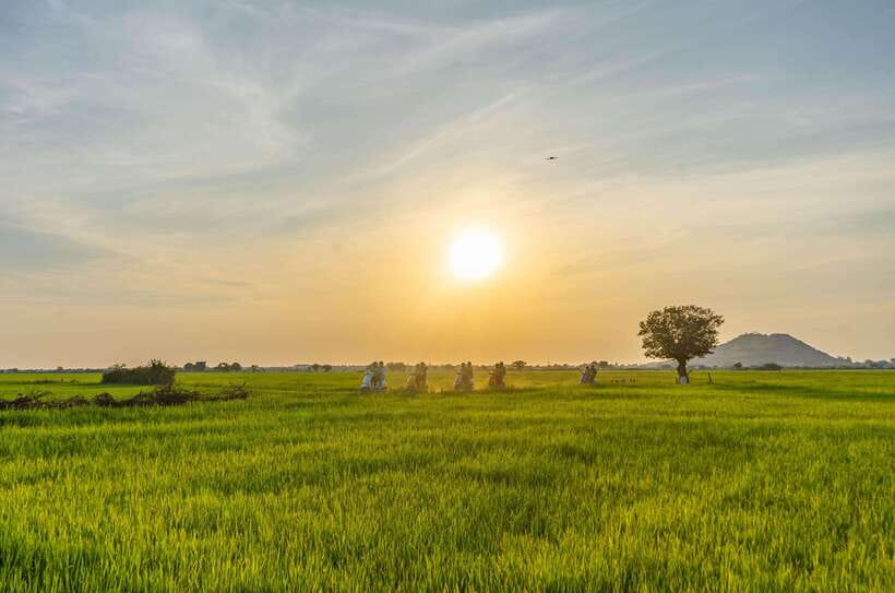 Siem Reap Countryside Sunset Vespa Tour or Tuk Tuk - A traditional village and a slower look at local life