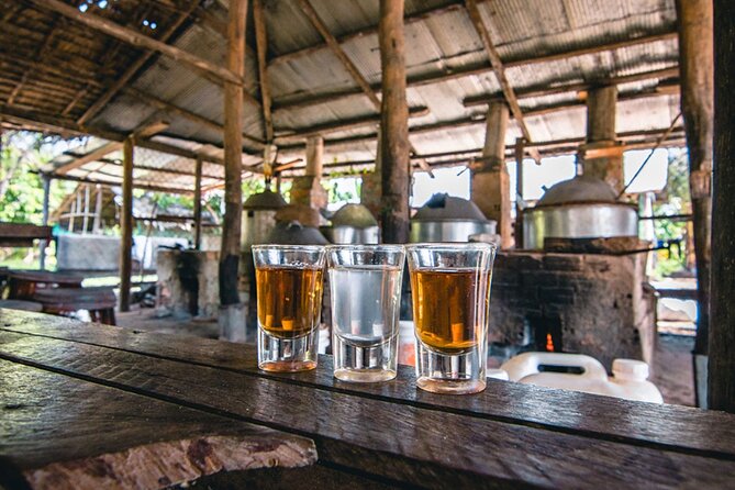Siem Reap Countryside Sunset Vespa Tour / Tuk Tuk Available - Phnom Krom and the sunset finish