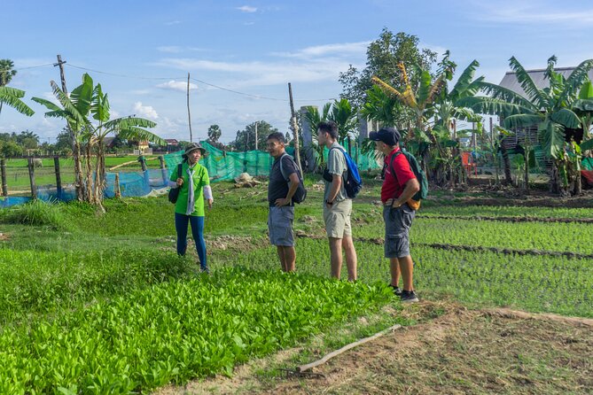 Siem Reap Countryside Sunset Vespa Tour / Tuk Tuk Available - Guides who add value to ordinary stops