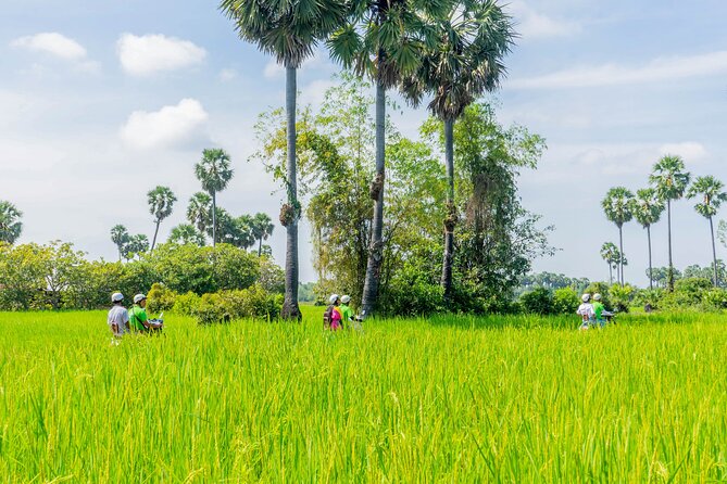 Siem Reap Countryside Vespa Tour / Tuk Tuk Available - Why this ride is a good break from Angkor