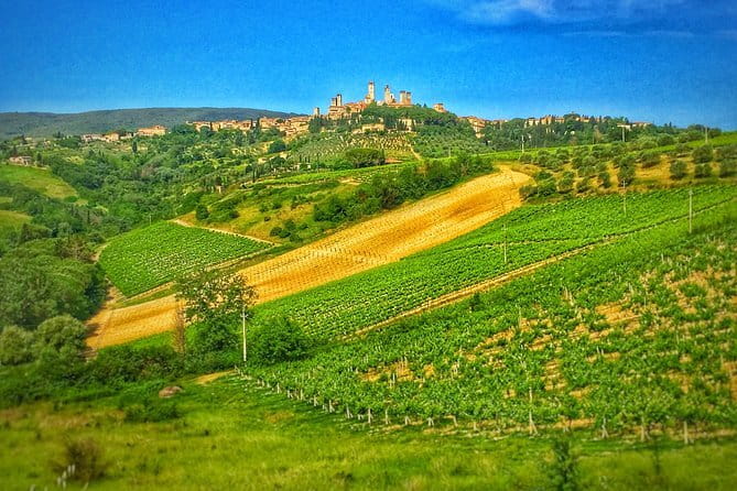 Tuscany Vespa Tour from Florence with Wine Tasting - Is $241.86 a fair price?
