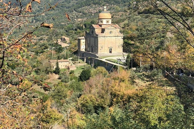 Tuscany Vespa Tours Through the Hills of Chianti - Lunch, wine, and olive oil at a Tuscan estate