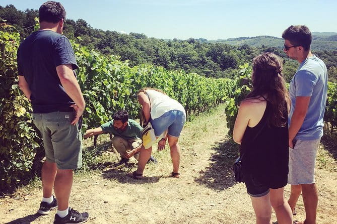 Tuscany Vespa Tours Through the Hills of Chianti - Guides who make the day work