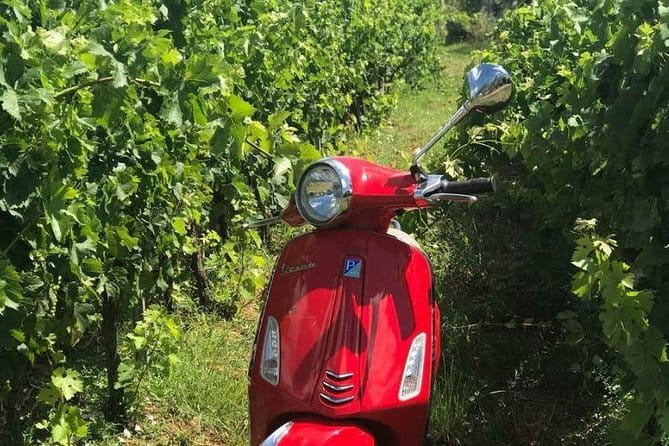 Vespa Motorcycle rental in Florence - Pickup at Via Ventisette Aprile, 39/r