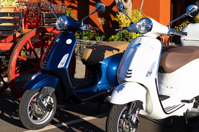 Vespa Primavera 24 Hour Rental in Madeira - How the experience compares with a fixed tour