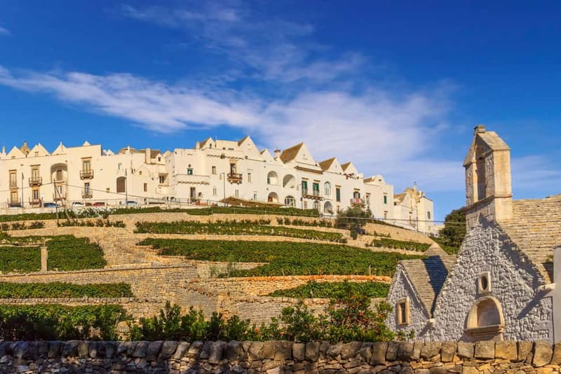 Vespa scenic tour: Trulli and Countryside with tastings in Itria Valley - Alberobello and the World of Trulli