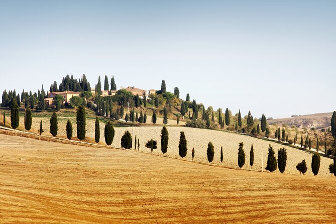 Vespa Tour with Lunch&Chianti Winery from Siena - Key points before you book