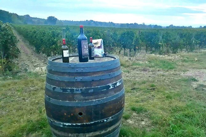 Vespa Tour with Lunch&Chianti Winery from Siena - Monteriggioni and its medieval walls