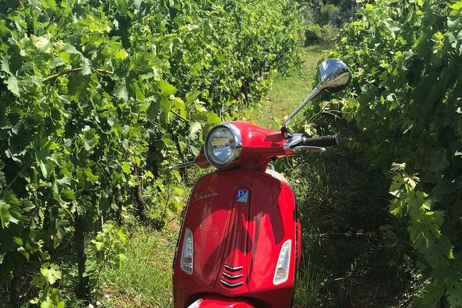 Vespa Tour with Lunch&Chianti Winery from Siena - Cost, group size, and what you receive